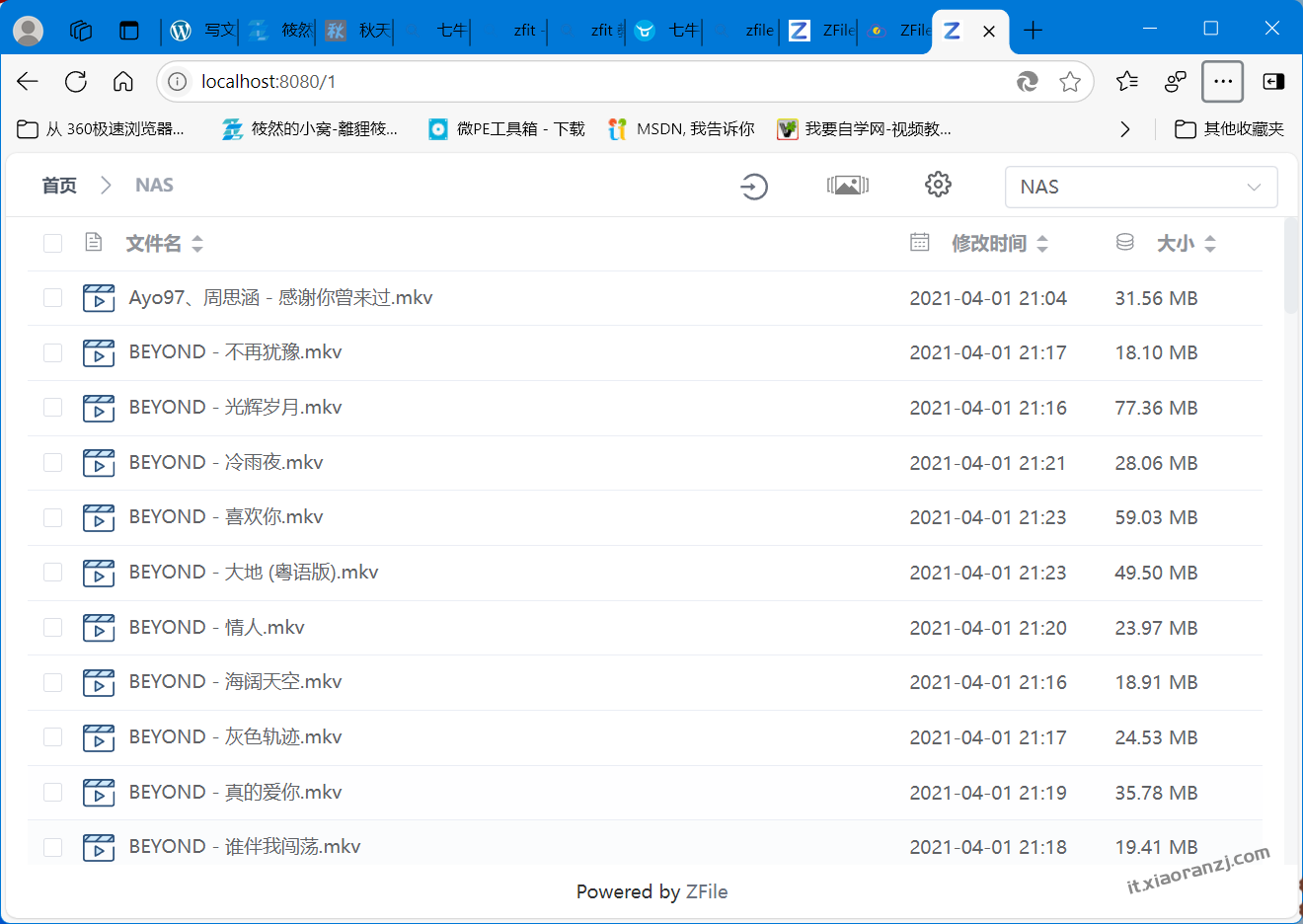 NAS免费方案1+软件（安装使用教程）内网穿透（远程访问） Windows版方案1